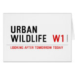 URBAN WILDLIFE   Greeting/note cards