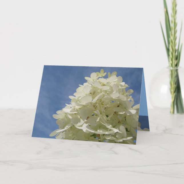 Greetings Card (Front)