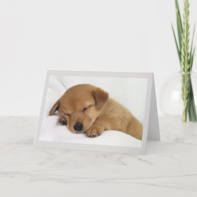 Greetings Card - Cute Puppy (Front)
