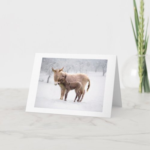 Greetings Card Snowy Donkeys Card