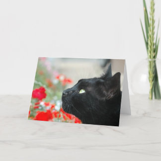 Greetings Card - Watching