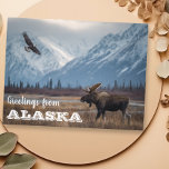 Greetings from Alaska Moose and Bald Eagle  Postcard<br><div class="desc">This design may be personalized in the area provided by changing the photo and/or text. Or it can be customized by clicking Personalize this Template and then choosing the click to customize further option and delete or change the color of the background, add text, change the text color or style,...</div>