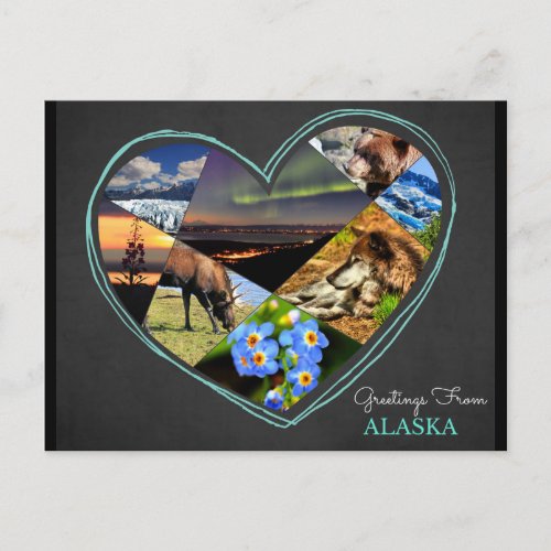 Greetings From Alaska  Postcard