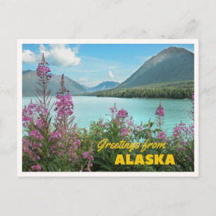 Greetings from Alaska Summer Cruise Retro Greeting Postcard