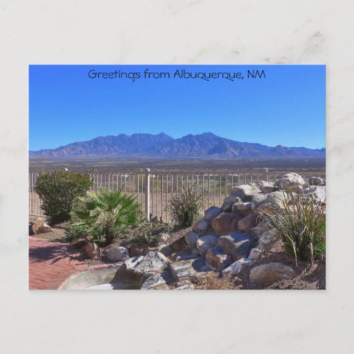 Greetings From Albuquerque New Mexico Postcard