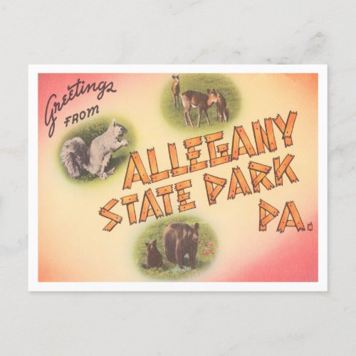 Greetings from Allegany State Park Pennsylvania Postcard