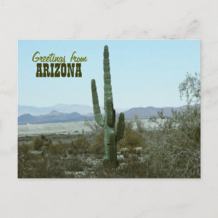 Greetings from Arizona Cactus Travel Postcard