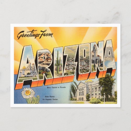 Greetings from Arizona Vintage Travel Postcard