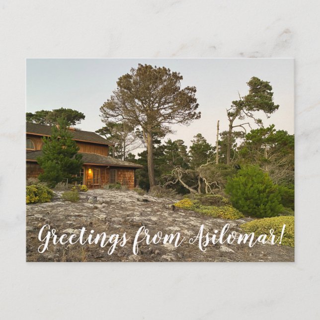 Greetings from Asilimar! Postcard (Front)