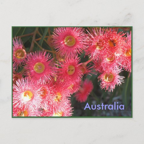 Greetings from Australia Postcard