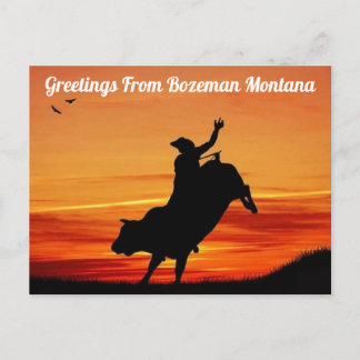 Greetings From Bozeman Montana Rodeo Postcard