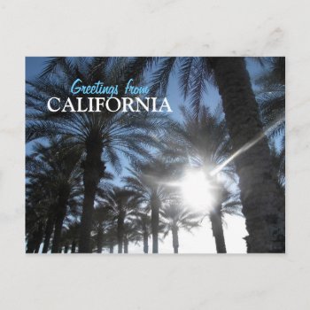 Greetings From California Palm Trees Postcard by nyxxie at Zazzle