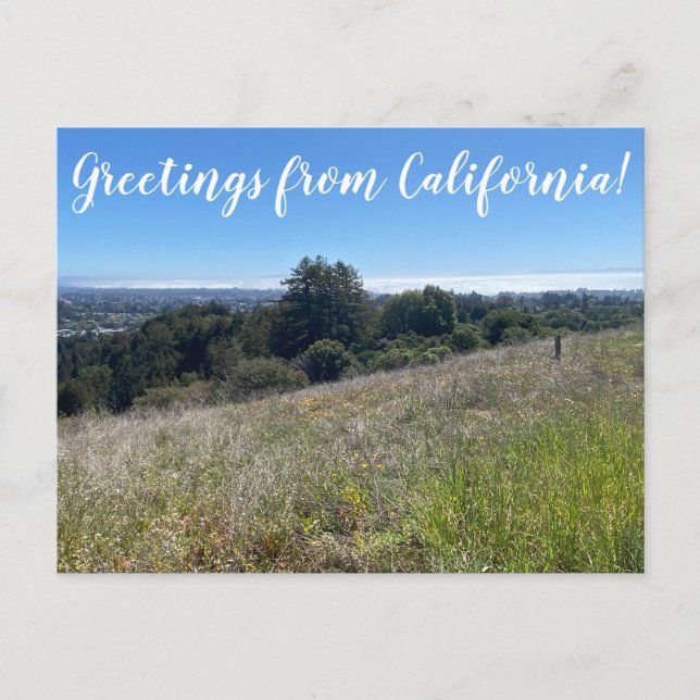 Greetings from California! Postcard (Front)