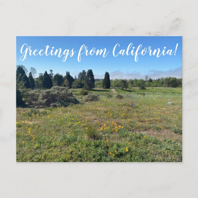 Greetings from California! Postcard (Front)