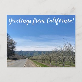 Greetings from California: Putah Creek Road Postcard