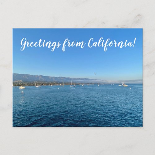 Greetings from California Santa Barbara Postcard