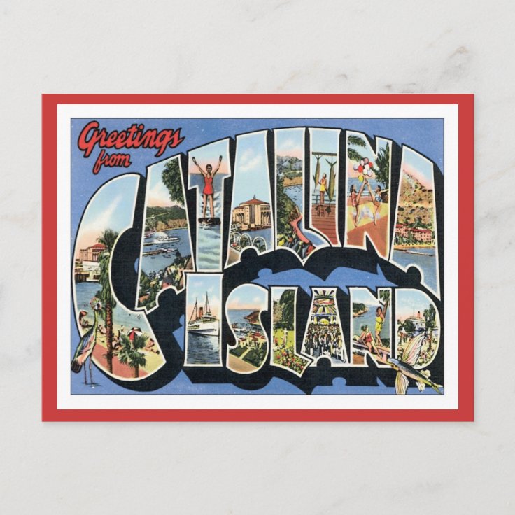 Greetings From Catalina Island California Postcard Zazzle