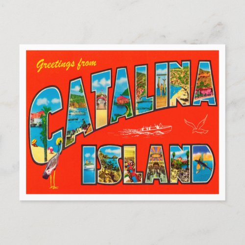 Greetings from Catalina Island California Travel Postcard