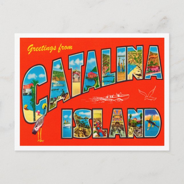 Greetings from Catalina Island, California Travel Postcard (Front)