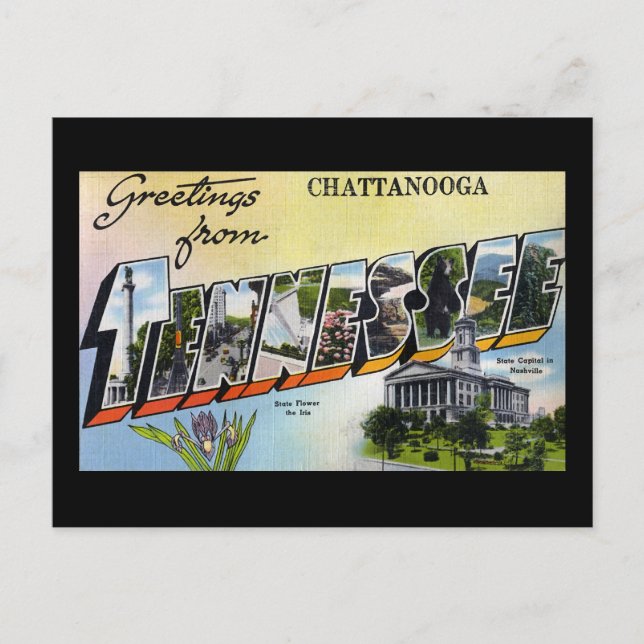 Greetings from Chattanooga Tennesee Postcard (Front)