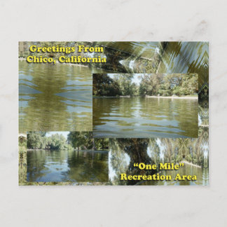 Greetings from Chico, California Postcard