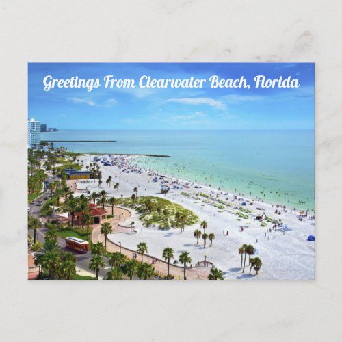 Greetings From Clearwater Beach Florida Postcard