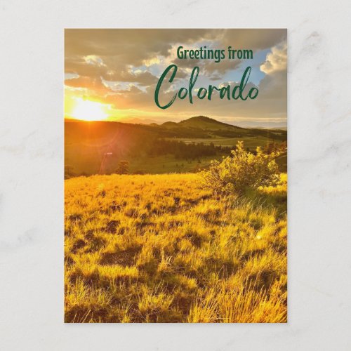 Greetings from Colorado Postcard