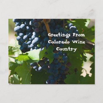 Greetings From Colorado Wine Country Postcard by bluerabbit at Zazzle
