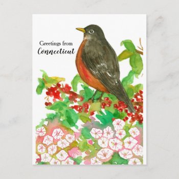 Greetings From Connecticut American Robin Postcard by CountryGarden at Zazzle