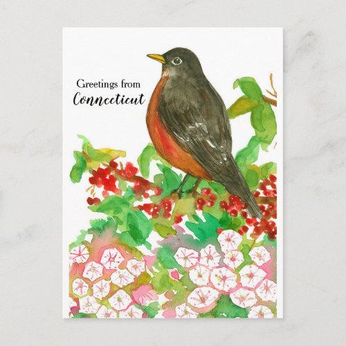 Greetings from Connecticut American Robin Postcard