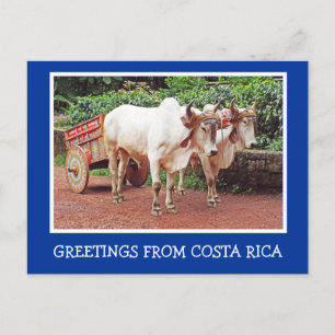 GREETINGS FROM COSTA RICA/OXCART AND OXEN POSTCARD