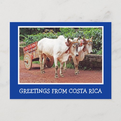 GREETINGS FROM COSTA RICAOXCART AND OXEN POSTCARD