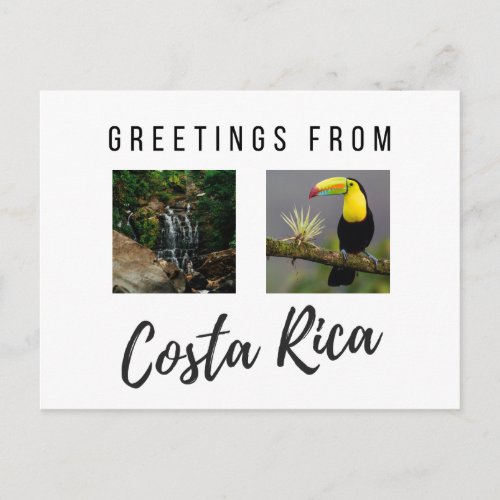 Greetings from Costa Rica Photo Postcard