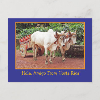 Greetings From Costa Rica Postcard (oxen &oxcart)