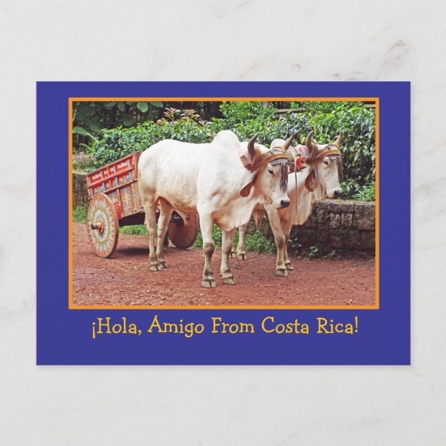 Greetings From Costa Rica Postcard (oxen &oxcart) (Front)