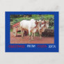 Greetings From Costa Rica Postcard (oxen &oxcart)