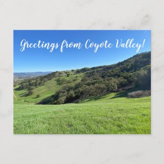 Greetings from Coyote Valley! Postcard