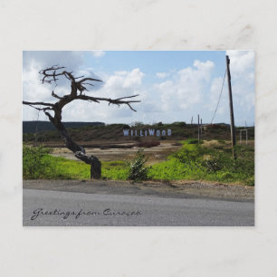 Greetings from Curaçao (customizable) Postcard