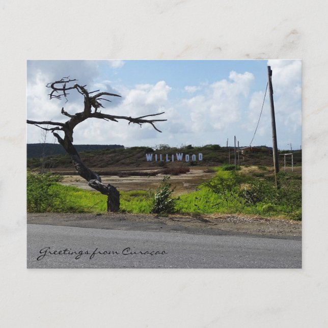 Greetings from Curaçao (customizable) Postcard (Front)