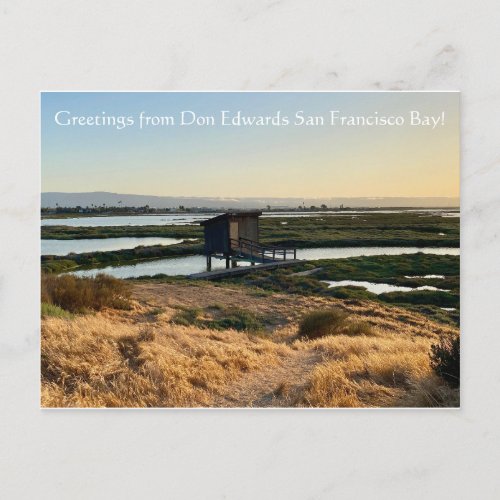 Greetings from Don Edwards San Francisco Bay Postcard