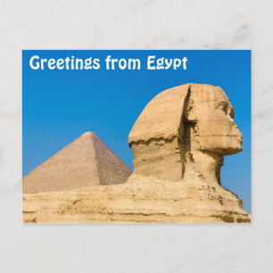 Greetings from Egypt Postcard