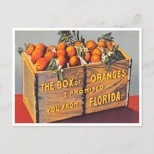 Greetings from Florida Box of Oranges Vintage Postcard