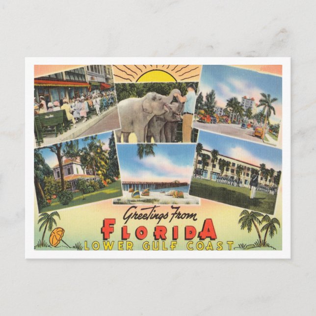 Greetings from Florida, lower gulf coast Travel Postcard (Front)