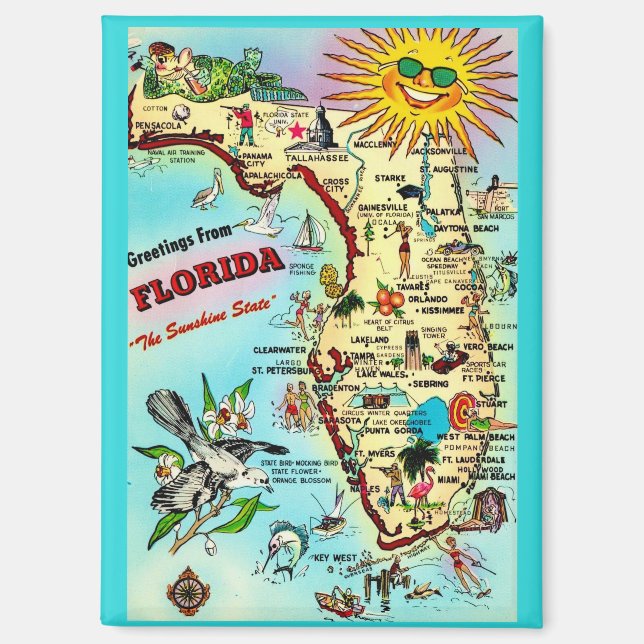 Greetings from Florida Magnet (Front)