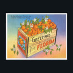 Greetings from Florida Orange Vintage Travel Postcard<br><div class="desc">Greetings from Florida Orange Vintage Travel</div>