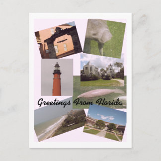 Greetings From Florida Postcard