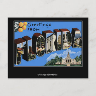 Greetings from Florida Postcard