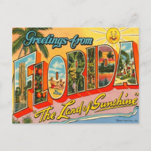 Greetings From Florida Postcard