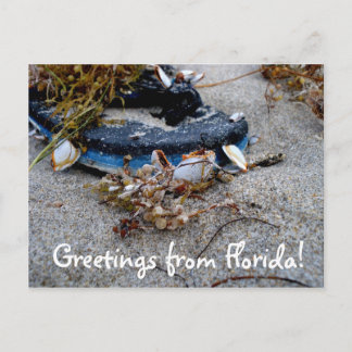 Greetings from Florida Postcard