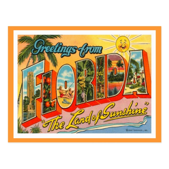 Greetings From Florida Postcard | Zazzle.com